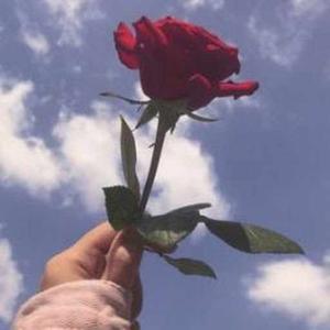 20-VIIIB-Iram Fatima logo