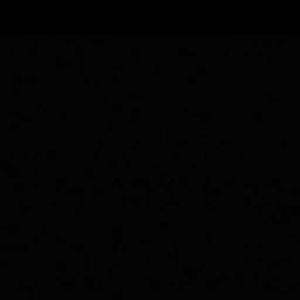 Shedananda Bhuyan logo