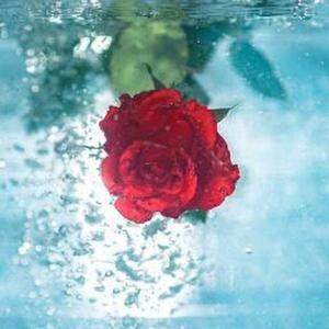 Sutrishna Ghosh logo