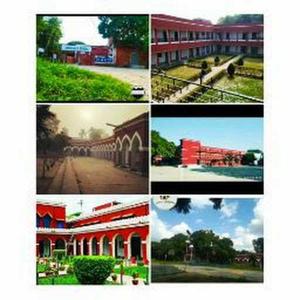 Priyanka Chaudhary logo