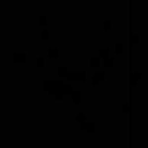 Nishtha Sharma logo