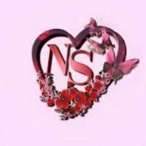 Nida Syed13 logo