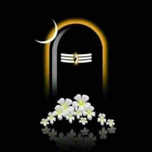 Nancy Tomar logo