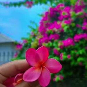 Fyzun Tabassum Afisa logo