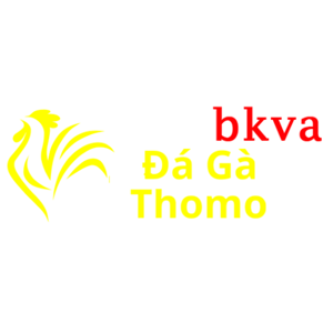 Đá Gà Trực Tiếp Thomo