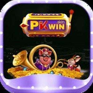 pkwin skin