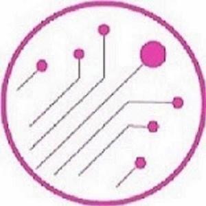ConvertML