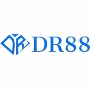 DR88  logo
