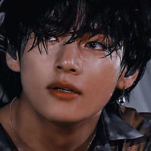 Nayana BTSarmy logo