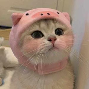 Sanjhi Srivastava logo