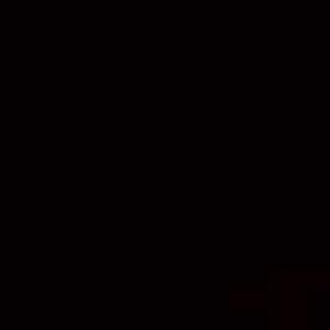 Swati Pragyan Sahoo logo