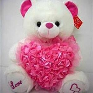 Duttuluri Geethika logo