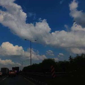 Bhavika Panchal logo