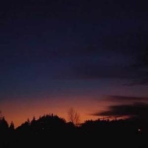 Subhasmita Mukhi logo