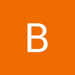 Brisbane Security Screens logo