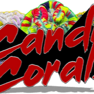 Candy Corals