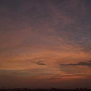 Shatakshi Srivastava logo