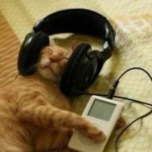 Lavinia La Rossa logo