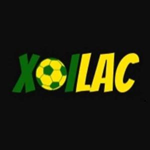 ussrankin org lừa đảol logo