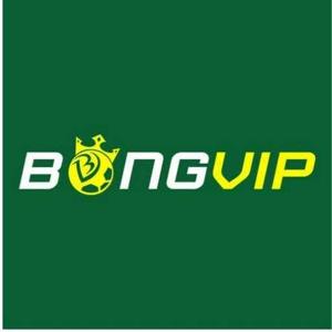 Nhà Cái BongVip logo
