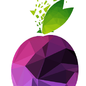 SEO Prune logo