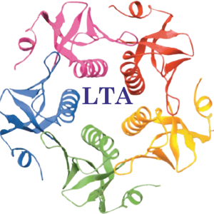 Letstalk Academy logo