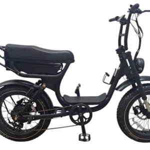 EBikes Scooters