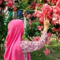 Mahojabin Mithy logo