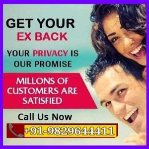 top astrologer logo