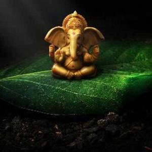 Vaishnavi Kucharlapati logo