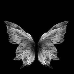 crownedinchoas.09 logo