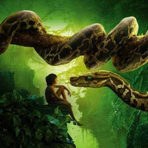 Kanishka vashishtha logo