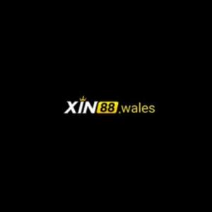 XIN88 WALES logo