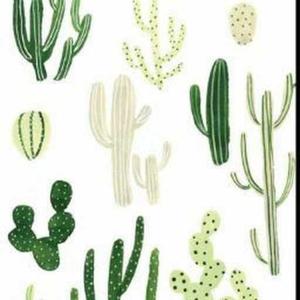 Ayshath Hanuna T.H logo