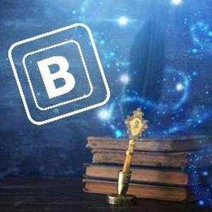 Binisha logo