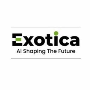 Exotica IT Solutions USA logo