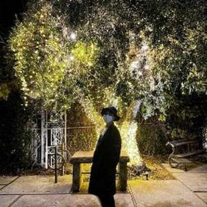 Vaishnavi Agarwal logo