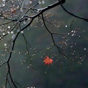 vaishnavi padal logo