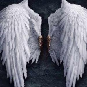 Black Angels logo
