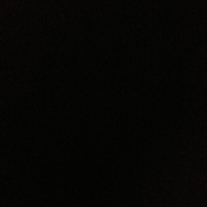 Pransha Srivastava logo