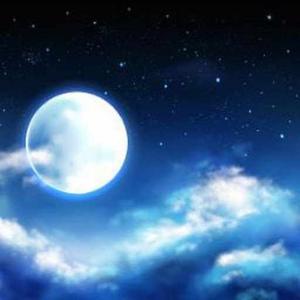 Bhargavi muralidaran logo