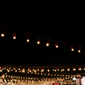 Anamika Sajeev logo