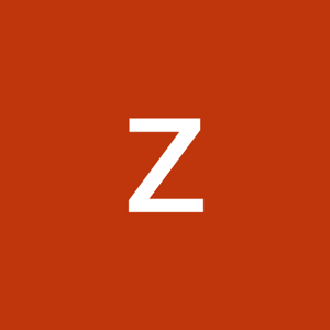 zainab riaz logo