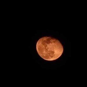 Anannya Bhaisare logo