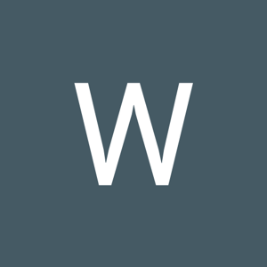 Winter snow logo