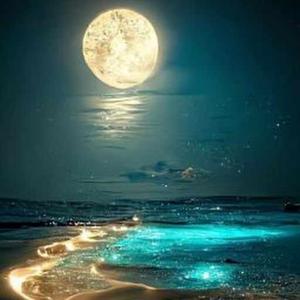 Vaishnavi Barot logo