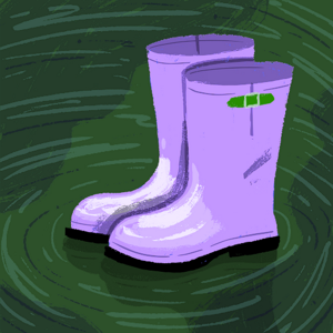 Soha Gull logo