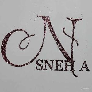 N Sneha logo