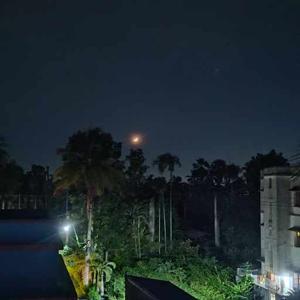 Shalini Samanta logo