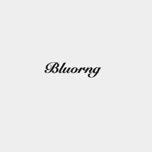 Bluorng Retail Private Limited
